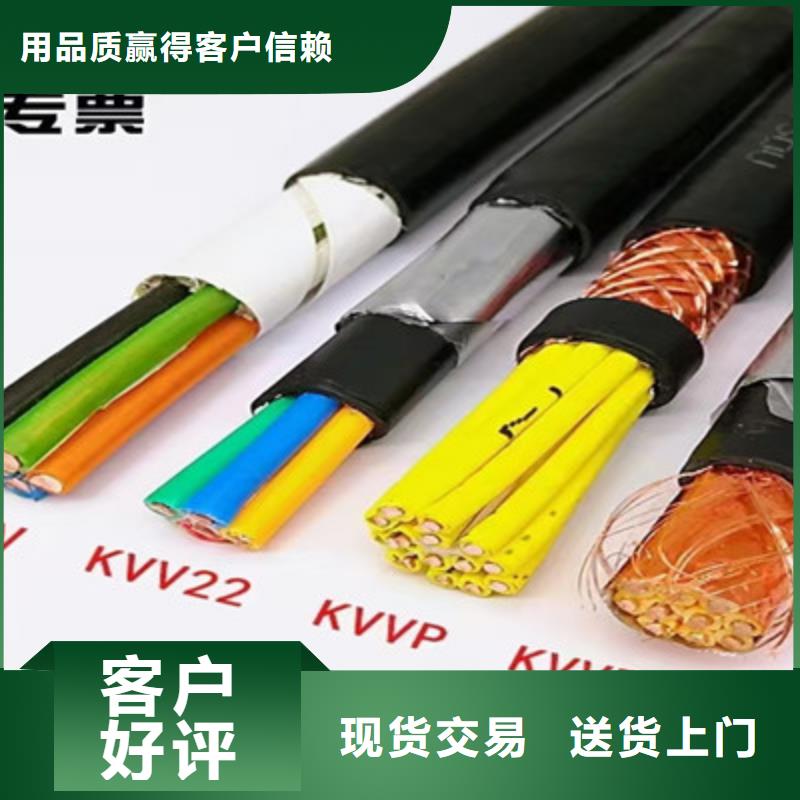 特种电缆通信电缆常年供应