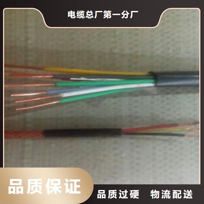 儋州市ZR-DJVP2VP2-22计算机电缆_我们是厂家