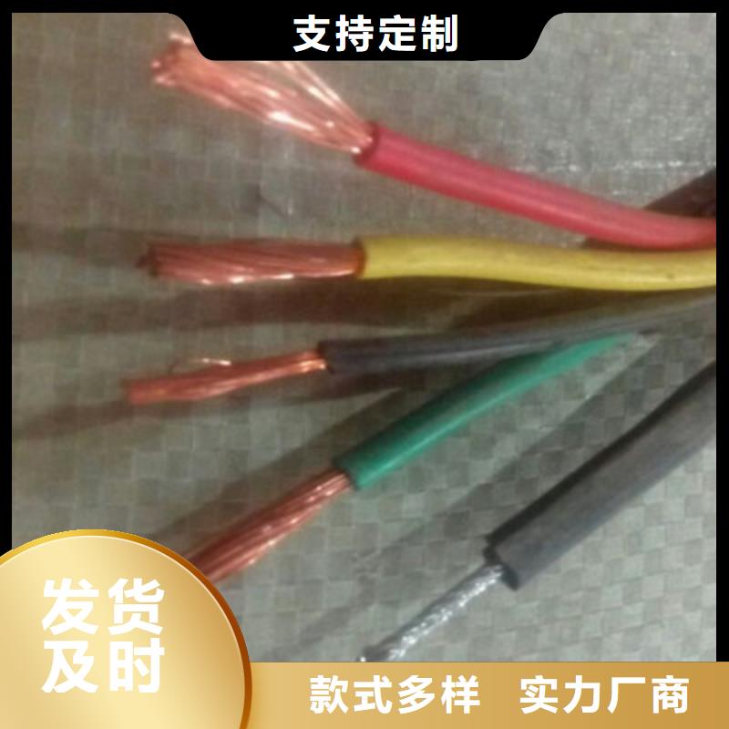 儋州市ZR-DJVP2VP2-22计算机电缆_我们是厂家