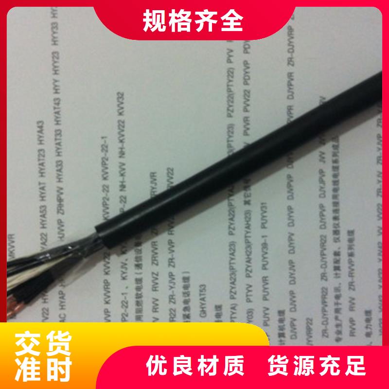 儋州市ZR-DJVP2VP2-22计算机电缆_我们是厂家