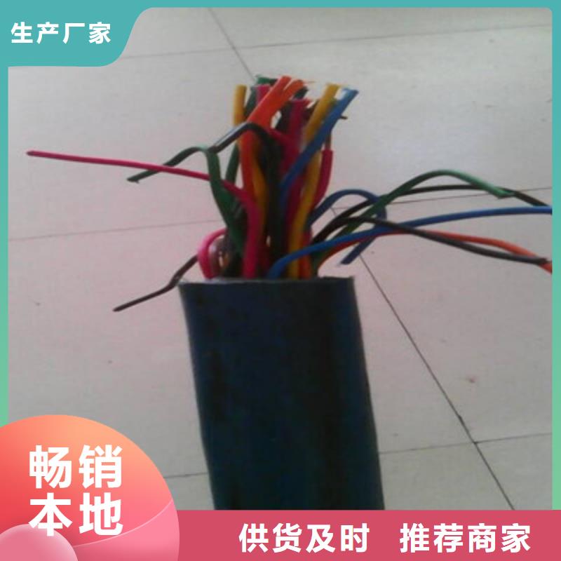 控制铜芯电缆YTV生产