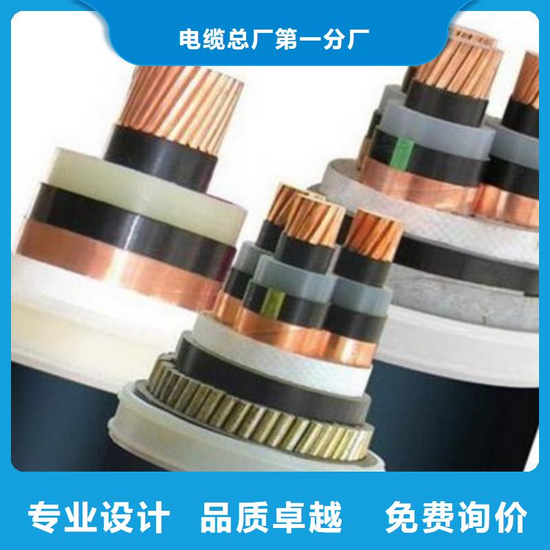 儋州市ZR-DJVP2VP2-22计算机电缆_我们是厂家