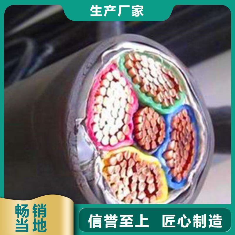 ZR-DJVPVP1X2X1阻燃计算机电缆自有工厂