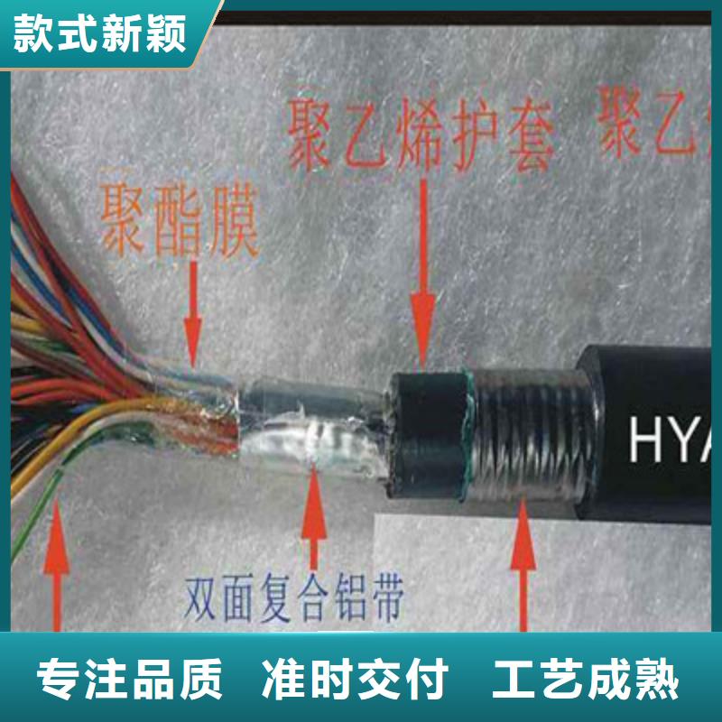 通信电缆-信号电缆厂家货源