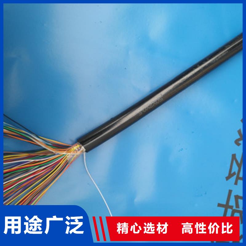 【通信电缆屏蔽电缆信誉有保证】