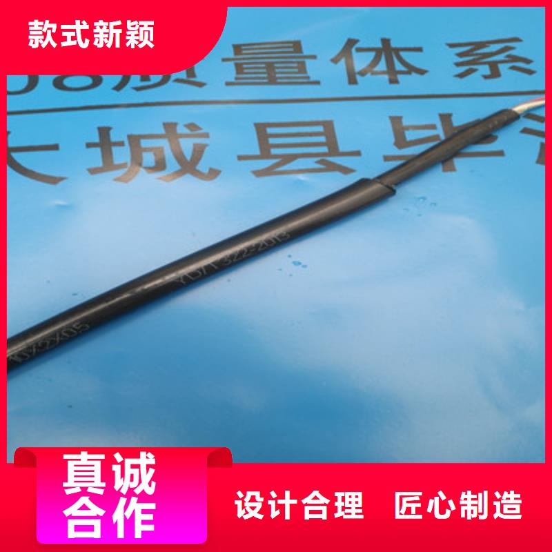 【通信电缆屏蔽电缆高品质现货销售】