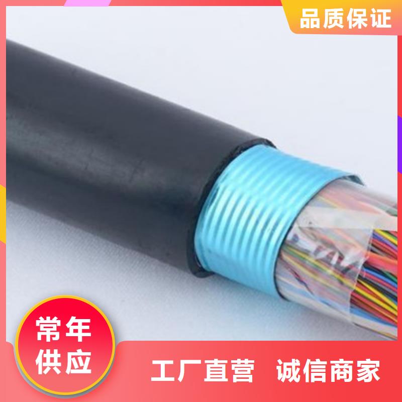 【通信电缆屏蔽电缆信誉有保证】