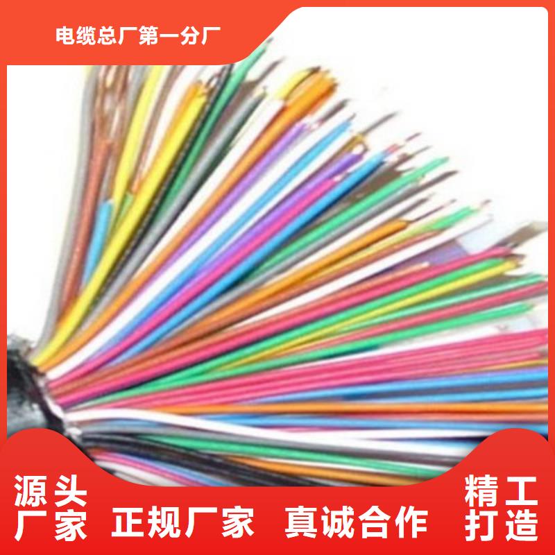 【通信电缆屏蔽电缆信誉有保证】