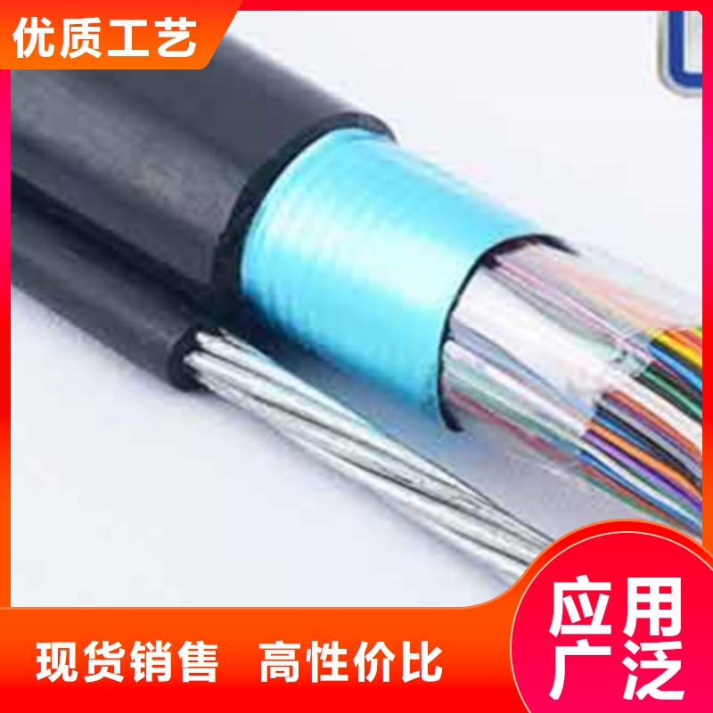 【通信电缆屏蔽电缆信誉有保证】