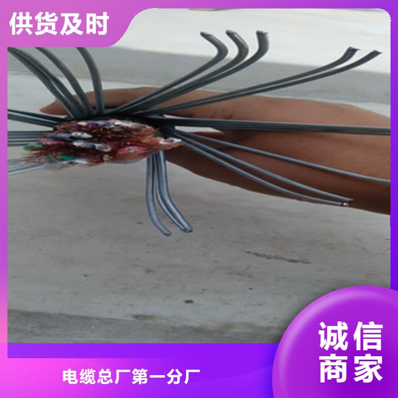 计算机电缆屏蔽电缆真诚合作
