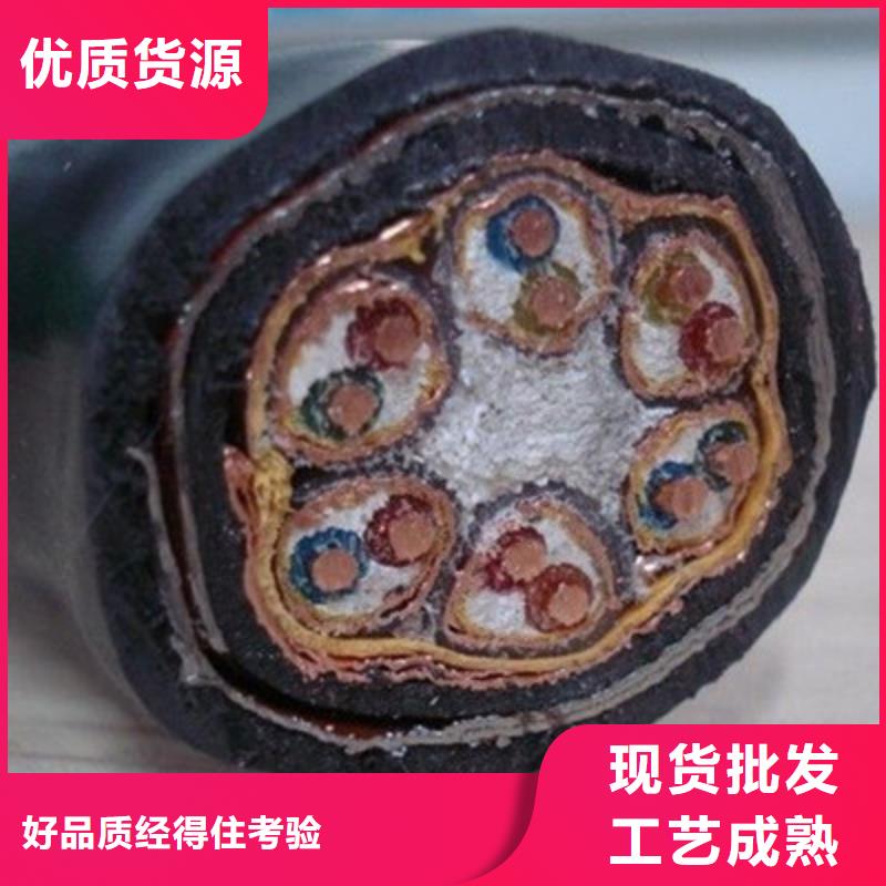计算机电缆屏蔽电缆真诚合作