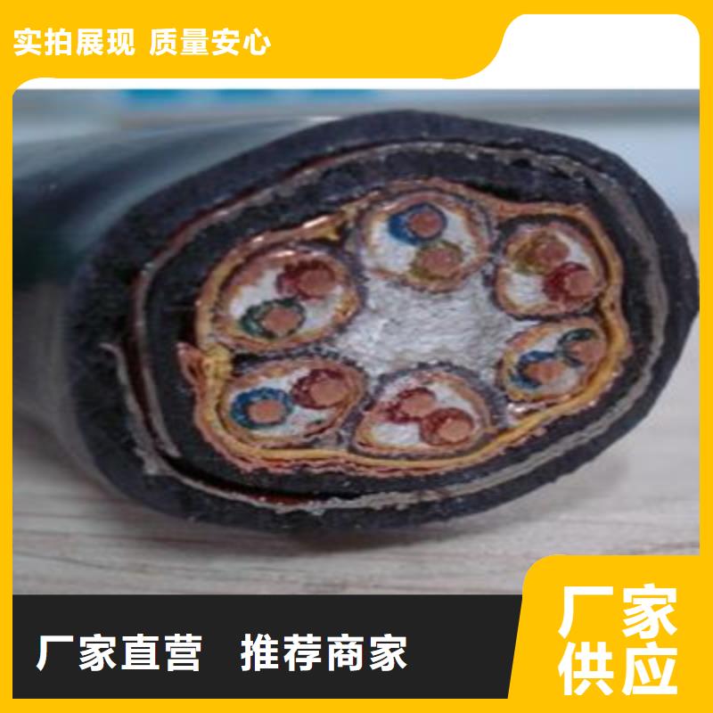 计算机电缆控制电缆出货及时