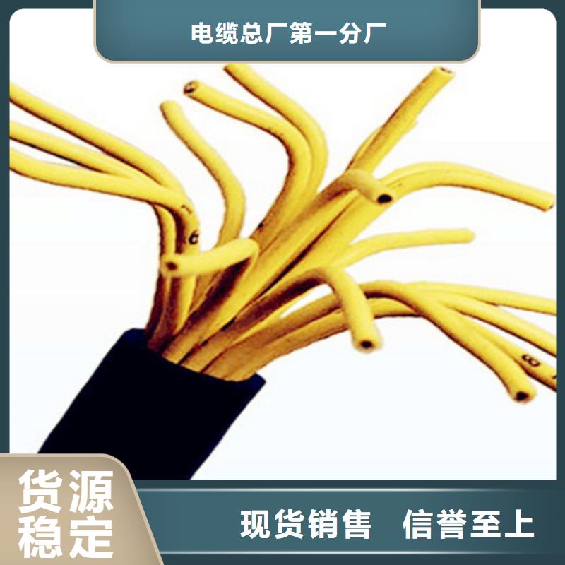 控制电缆_电缆生产厂家好产品好服务
