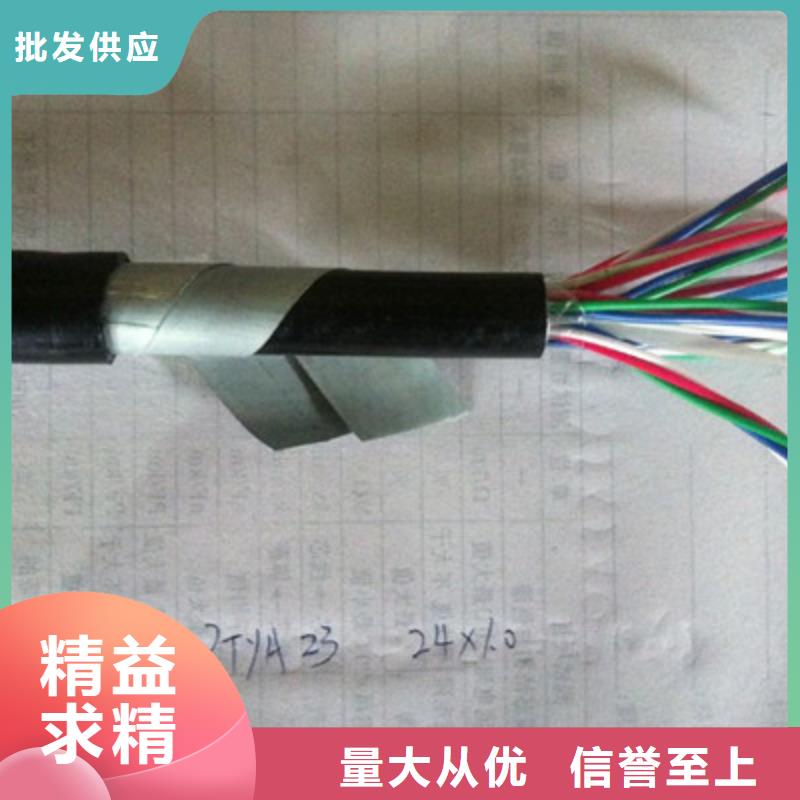 铁路信号电缆信号电缆老客户钟爱