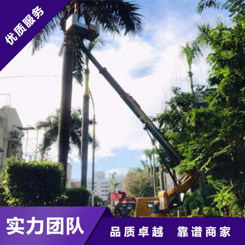 路灯工程车口碑好