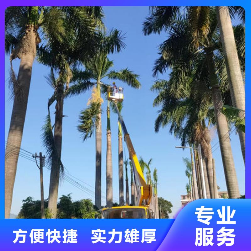 中山市石岐街道大型高空车租赁一天多少钱