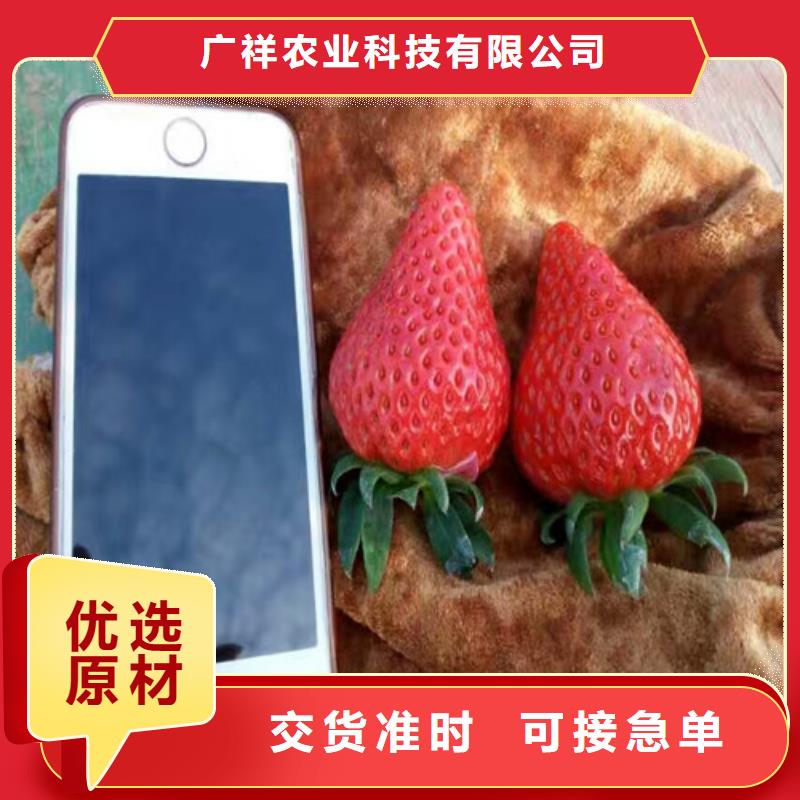 梨树苗-视频-梨树苗-广祥农业科技(西藏分公司)服务区域林芝|拉萨|那曲|昌都|山南