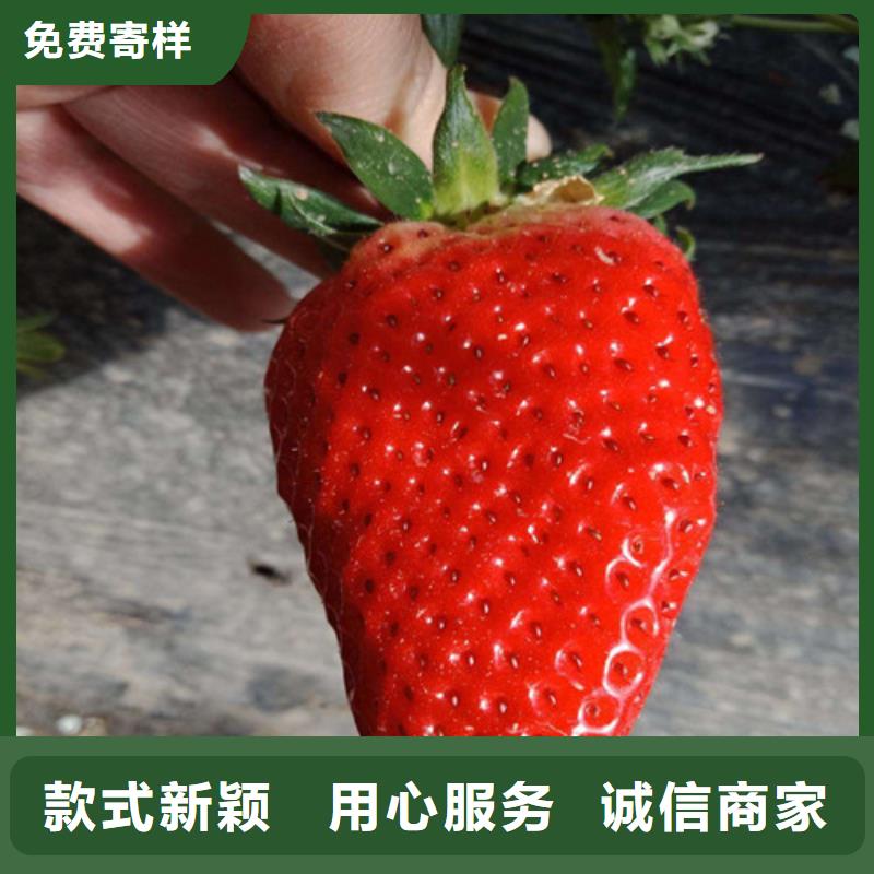 梨树苗-视频-梨树苗-广祥农业科技(西藏分公司)服务区域林芝|拉萨|那曲|昌都|山南