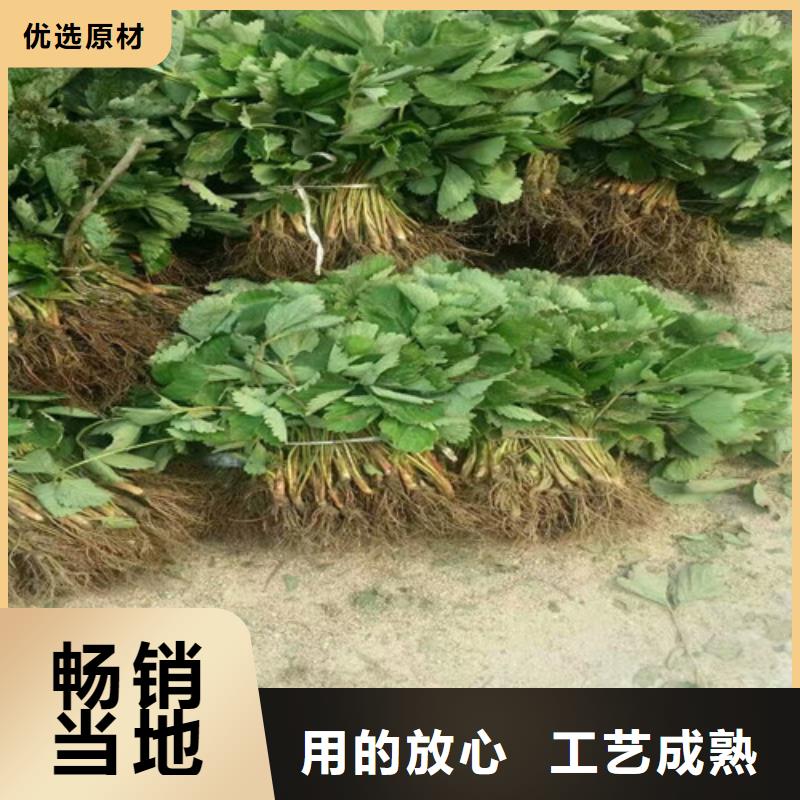 梨树苗-视频-梨树苗-广祥农业科技(西藏分公司)服务区域林芝|拉萨|那曲|昌都|山南