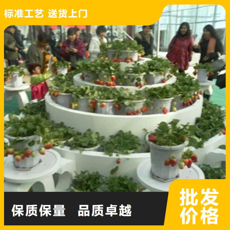 梨树苗视频-梨树苗(广祥)覆盖地域河南省开封市通许|尉氏|平顶山|郑州|商丘|三门峡|安阳|信阳|新乡