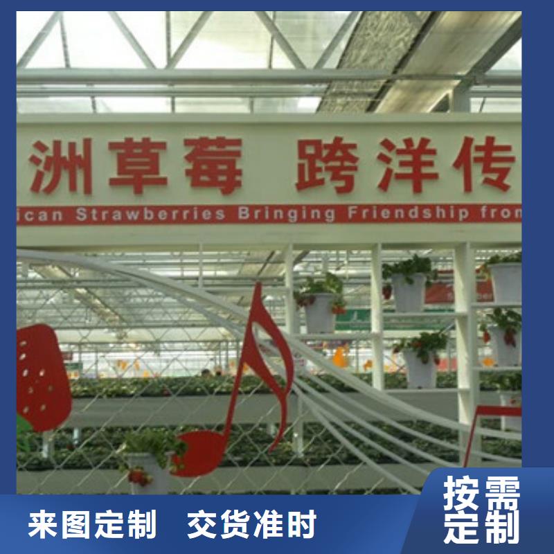 草莓苗 蓝莓苗工厂价格