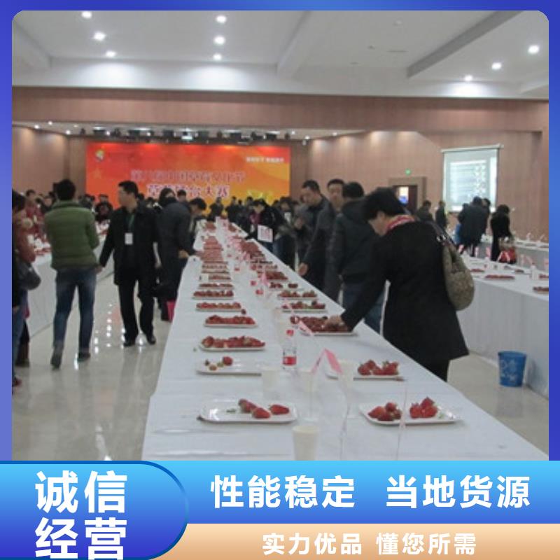 草莓苗草莓苗价格工厂直供