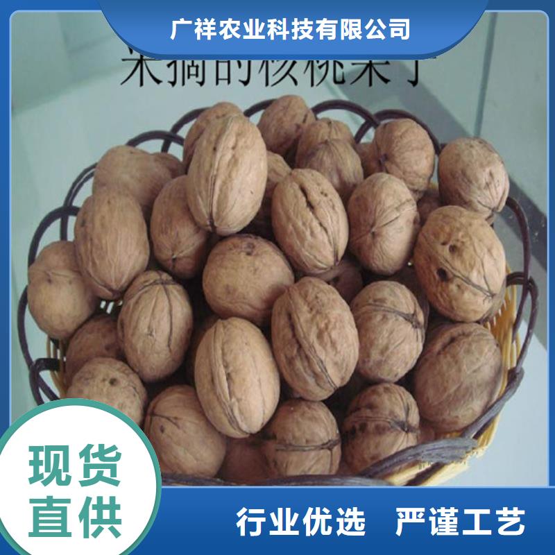 梨树苗-视频-辽宁省葫芦岛市|龙港|绥中|铁岭|大连|沈阳|抚顺|营口|鞍山|丹东梨树苗-广祥