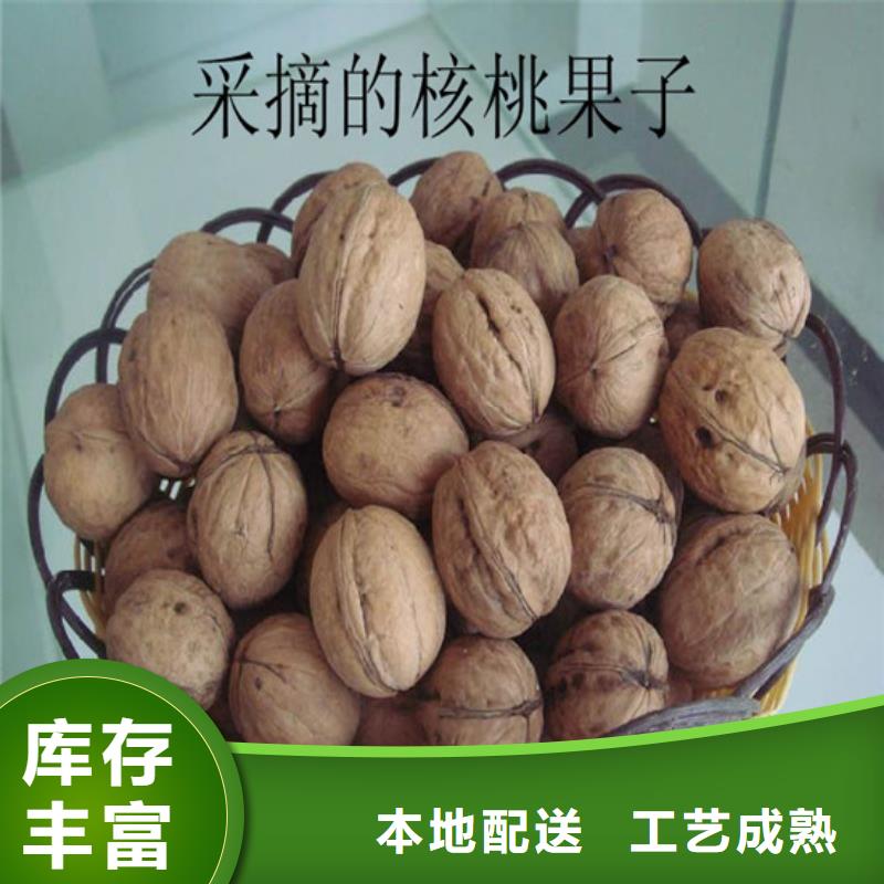 核桃苗果树苗一对一为您服务