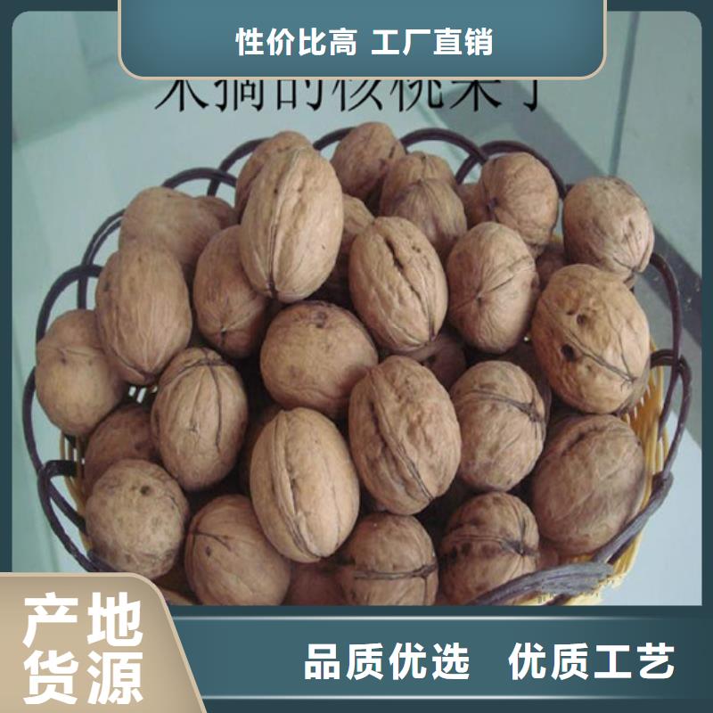 核桃苗桃树苗厂家现货批发