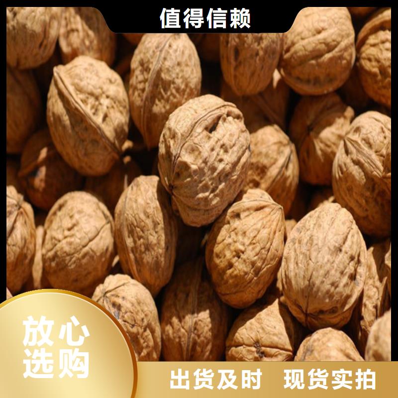 核桃苗-葡萄苗为您提供一站式采购服务
