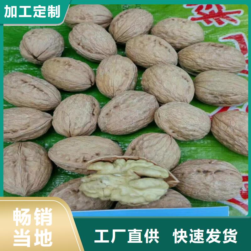 【核桃苗】-夏黑葡萄苗用心制造