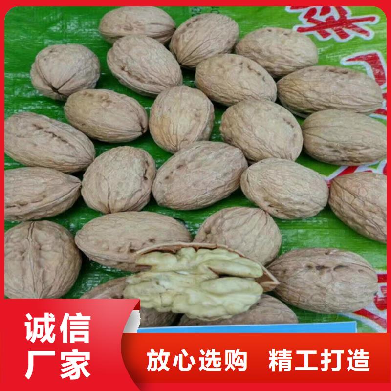 核桃苗,红蜜桃树苗品类齐全