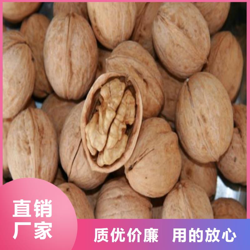 核桃苗,葡萄苗让利客户