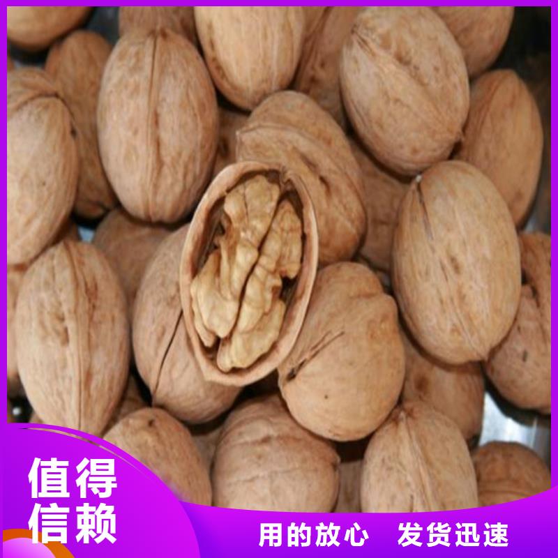 梨树苗-视频-河南省商丘市广祥梨树苗可服务区域永城|虞城|洛阳|三门峡|鹤壁|许昌|漯河|新乡|安阳等