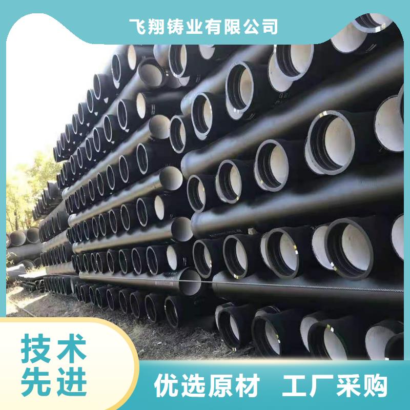 喷涂环氧树脂/DN100铸铁管