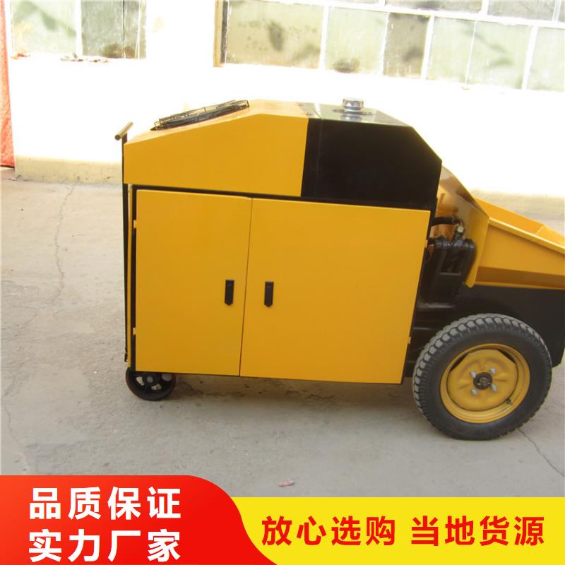 二次构造柱泵厂家视频-二次构造柱泵厂家-云南省西双版纳市(同城)生产厂家-勐腊|景洪|临沧|保山|玉溪|迪庆
