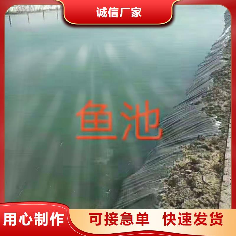 塑料盲沟-视频-塑料盲沟-鼎诺土工材料(淮南市分公司)服务区域田家庵|潘集|六安|铜陵|宿州|亳州