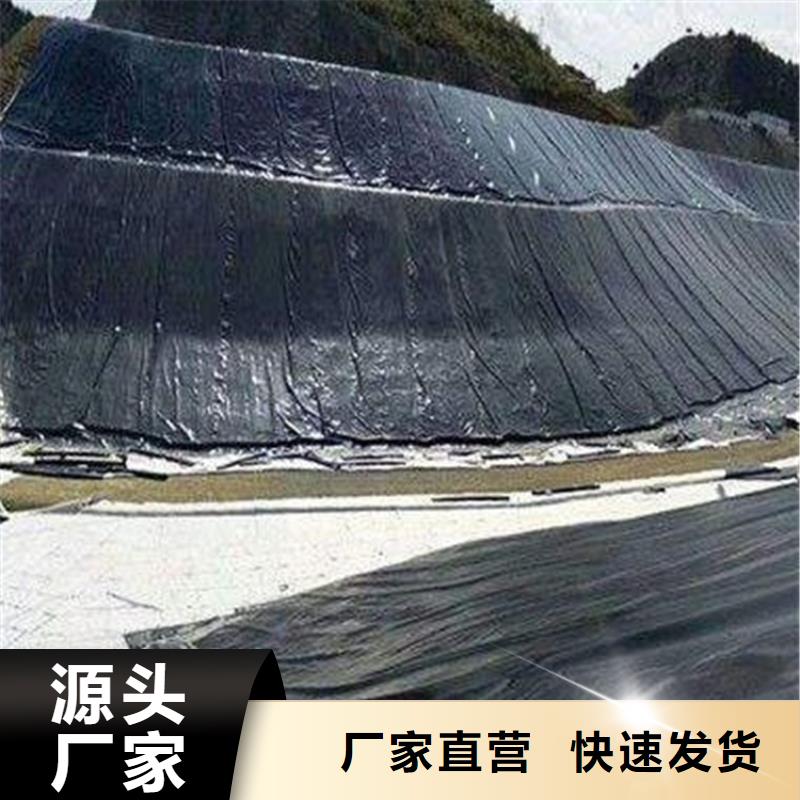 【土工膜HDPE土工膜市场行情】