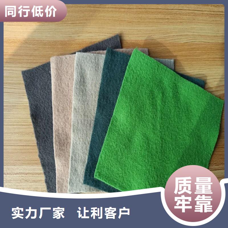 【土工布排水板工厂直供】