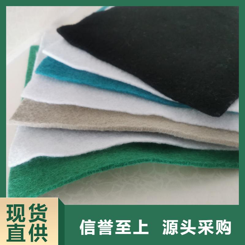 【土工布排水板工厂直供】