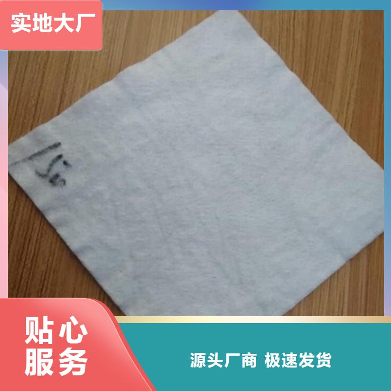 【土工布排水板工厂直供】
