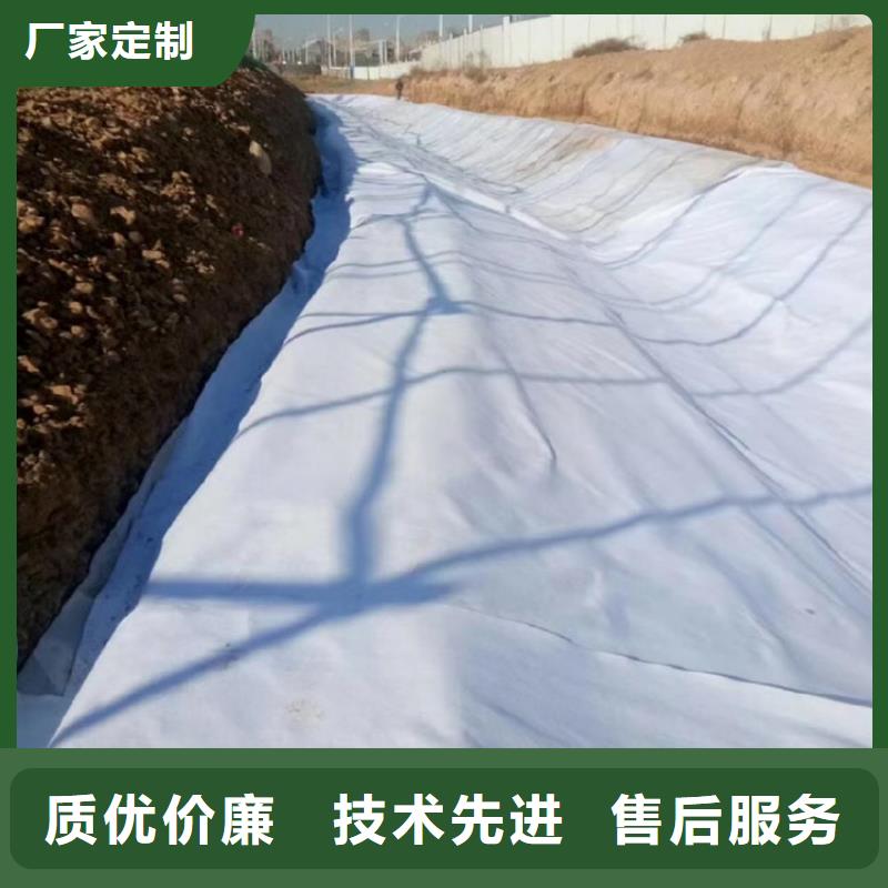 【土工布排水板工厂直供】