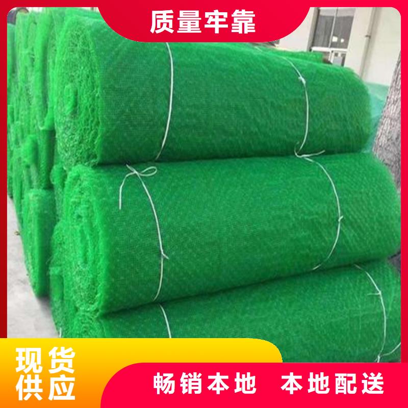 三维植被网,复合土工膜卓越品质保障
