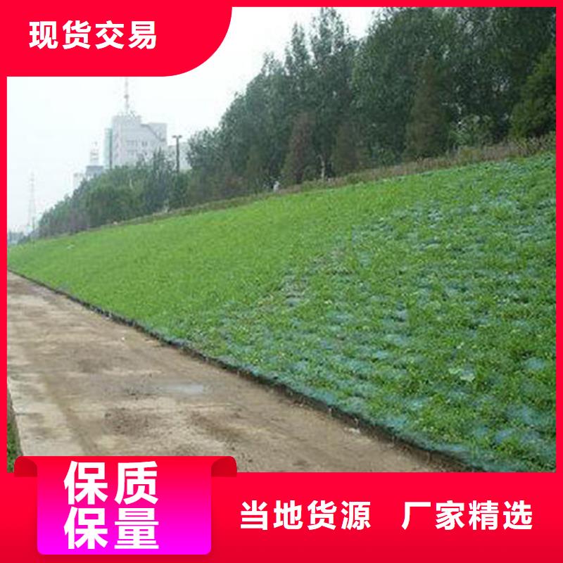 塑料盲沟-视频-直辖天津市鼎诺塑料盲沟可服务区域河东|西青|河西|南开|和平|东丽等