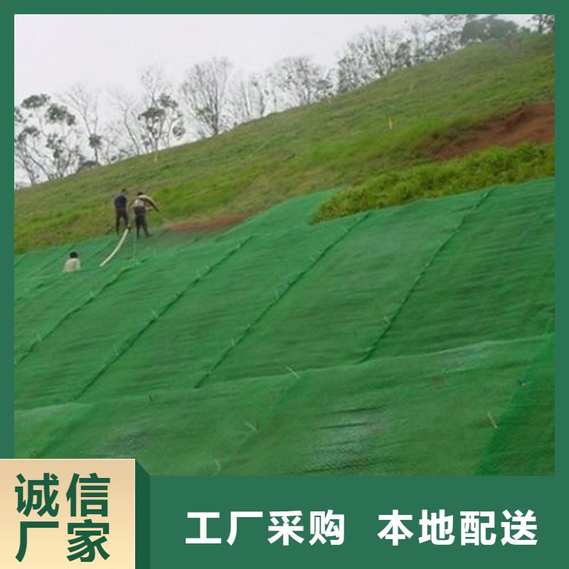 EM2三维植被网哪里有卖的批发