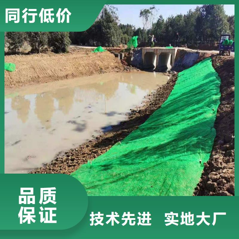 环保EM2三维固土网垫