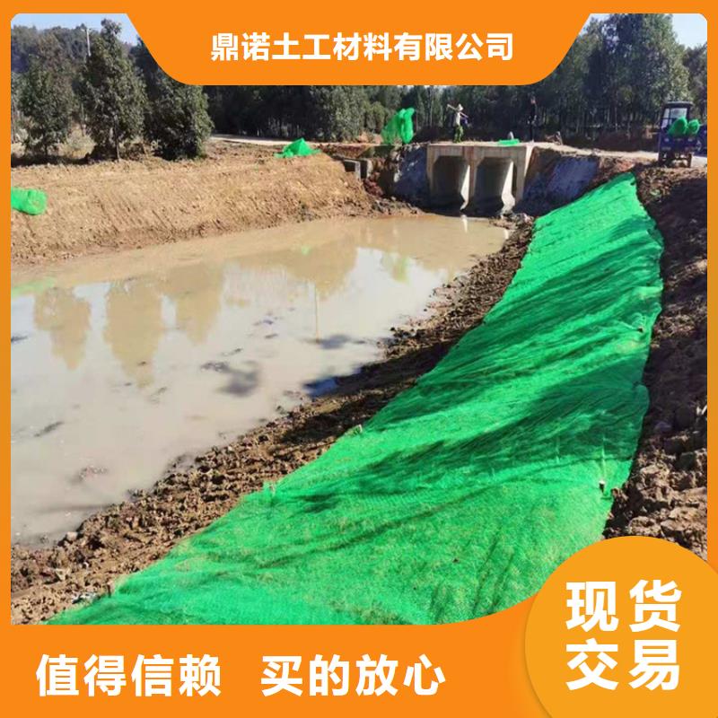 三维植被网土工膜实力厂家直销
