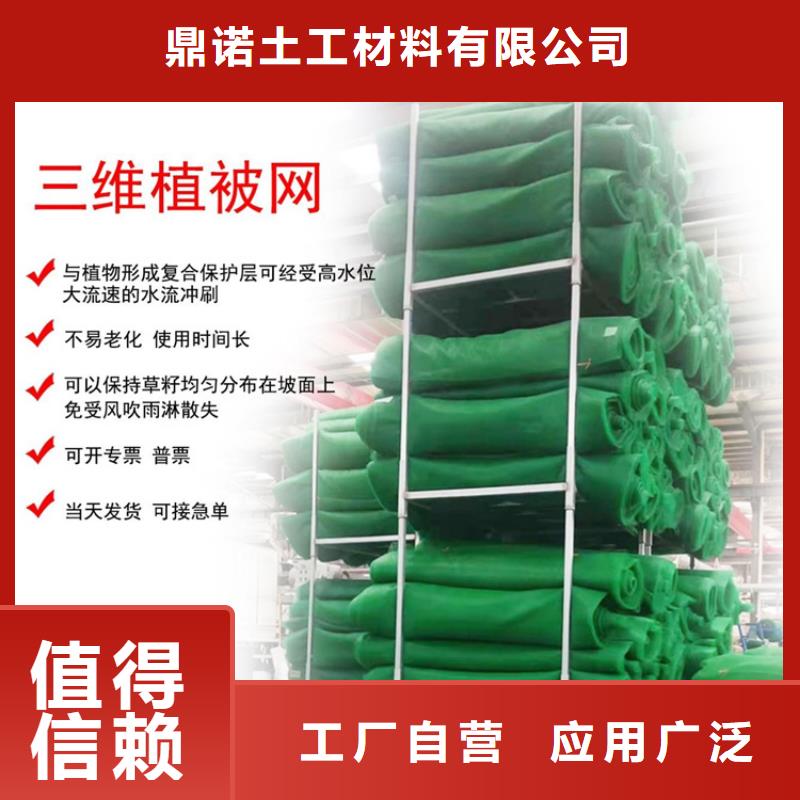 EM4三维固土网垫厂家动态