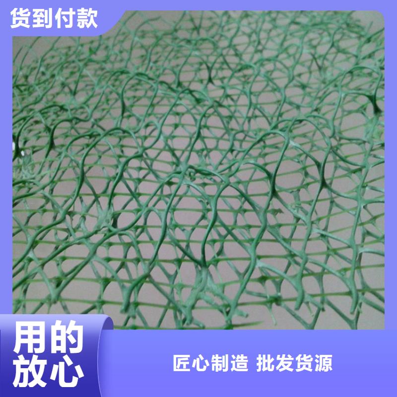 塑料盲沟-视频-海南|果洛|黄南|海东|玉树鼎诺塑料盲沟_ 鼎诺土工材料(青海省分公司)