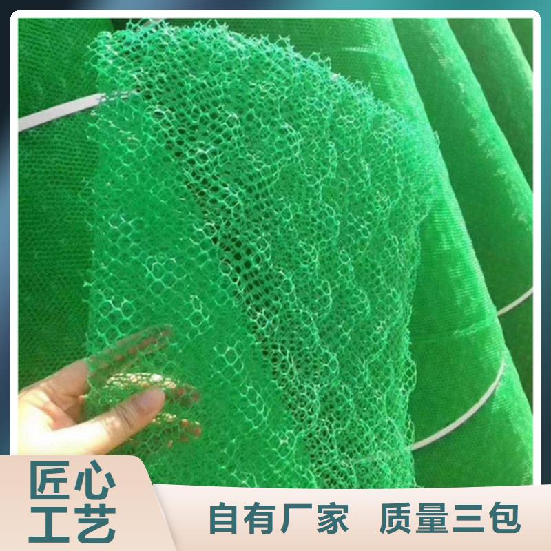 三维植被网膨润土防水毯工程施工案例